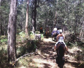 Port Macquarie Horse Riding Centre - Schoolies Week Accommodation 4