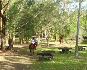 Port Macquarie Horse Riding Centre - Schoolies Week Accommodation 6