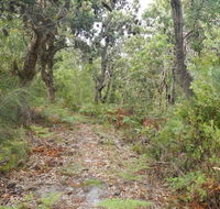 Kinchela Trig Lookout walk - Schoolies Week Accommodation