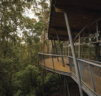 Tarkine Forest Adventures - Dismal Swamp - Schoolies Week Accommodation
