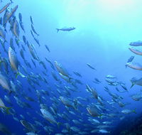 Cape Byron Marine Park - Schoolies Week Accommodation