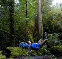 The Tarkine Drive - Schoolies Week Accommodation