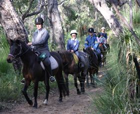 Mirravale Horse Riding School - Schoolies Week Accommodation 0