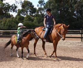 Mirravale Horse Riding School - Schoolies Week Accommodation 1