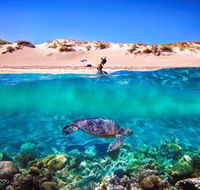 Snorkel the Ningaloo Reef - Schoolies Week Accommodation