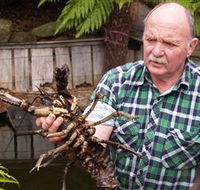 Lobster Ponds - Schoolies Week Accommodation