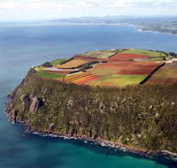 Table Cape - Schoolies Week Accommodation