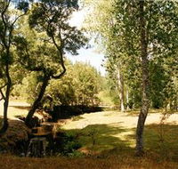 Oldina Picnic Area - Schoolies Week Accommodation