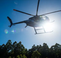 Tall Timbers Adventure Tours - Schoolies Week Accommodation
