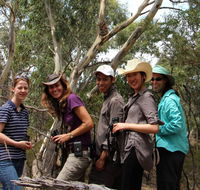 Echidna Walkabout Nature Tours - Schoolies Week Accommodation