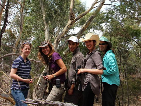 Echidna Walkabout Nature Tours - Schoolies Week Accommodation 2