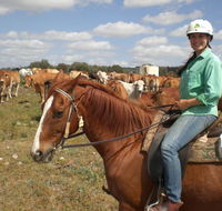 Myella Farm Stay Tours - Schoolies Week Accommodation