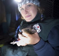 Naturewise at Tidbinbilla - Schoolies Week Accommodation