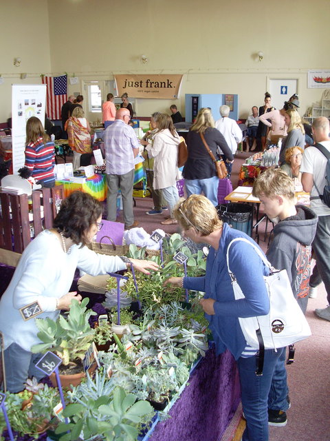 Health Harmony And Happiness Festival - Schoolies Week Accommodation 0