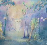 Territory Colours - Schoolies Week Accommodation