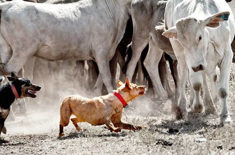 David Hancock Photography - Schoolies Week Accommodation 2