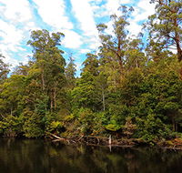 A R Reflections River Cruises - Schoolies Week Accommodation