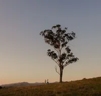 Faulls Ridge Winery - Schoolies Week Accommodation