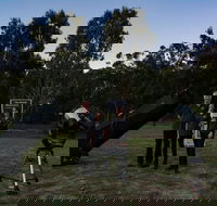 Stargazing Busselton with Mobile Observatory - Schoolies Week Accommodation