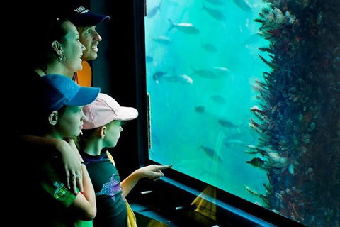 2-hour Busselton Jetty Package: Jetty Train And Underwater Observatory - Schoolies Week Accommodation 1