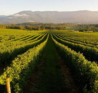Half-Day Swan Valley Walk  Fruit Orchard - Schoolies Week Accommodation