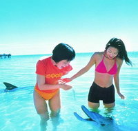 Monkey Mia Dolphins  Shark Bay Air Tour From Perth - Schoolies Week Accommodation