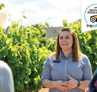 Swan Valley Wine Adventure - Half Day Premium Boutique Winery Tour - Schoolies Week Accommodation