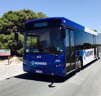 Rottnest Bayseeker Bus Tour from Hillarys Boat Harbour - Schoolies Week Accommodation
