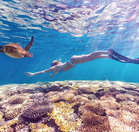 7-Day Exmouth Explorer via Pinnacles Monkey Mia Ningaloo Reef returning to Perth - Schoolies Week Accommodation