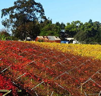 Swan Valley Wine Time Private Day Tour - Schoolies Week Accommodation