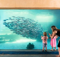 AQWA The Aquarium of Western Australia General Admission - Schoolies Week Accommodation