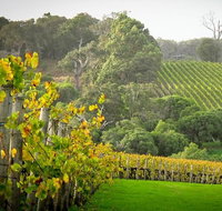 Half-Day Swan Valley  Wildlife Park Tour - Schoolies Week Accommodation