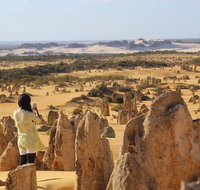 Full-Day Pinnacles Sandboarding and Yanchep National Park from Perth - Schoolies Week Accommodation