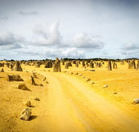 1 Day Pinnacles Wildlife  Sandboarding - Schoolies Week Accommodation