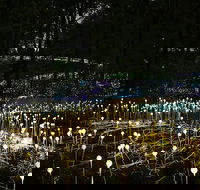 National Anzac Centre Field of Light Panorama Pass - Schoolies Week Accommodation