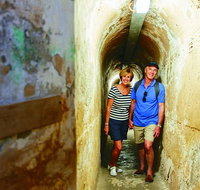 Rottnest Island Oliver Hill Train and Tunnel Day Trip from Perth - Schoolies Week Accommodation