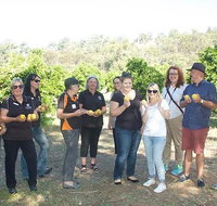 Chittering Valley Back To Nature Tour - Schoolies Week Accommodation