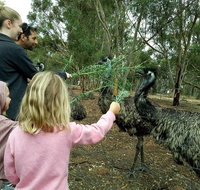 Full-Day Nature Tour from Perth - Schoolies Week Accommodation