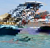 Mandurah Dolphin and Scenic Marine Cruise - Schoolies Week Accommodation