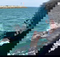 Mandurah Dolphin Island Adventure - Schoolies Week Accommodation