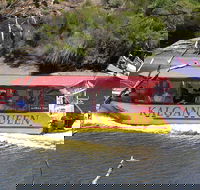 Kalgan Queen Scenic Cruises a four hour sheltered water wildlife tour daily fun. - Schoolies Week Accommodation