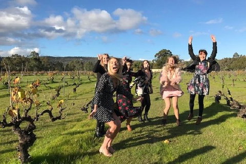 VW Kombi Food, Wine And More Tour (bring The Kids!) - Schoolies Week Accommodation 3