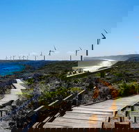 Torndirrup National Park and Bay Highlights - Schoolies Week Accommodation