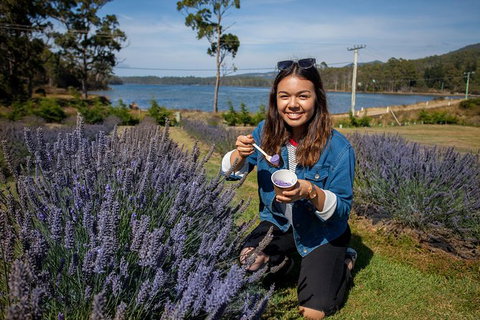 Port Arthur And Lavender Farm Active Day Tour - Schoolies Week Accommodation 2