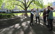 Hobart Historic Walking Tour - thumb 1