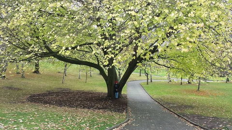 Hobart City Sightseeing Tour Including MONA Admission - Schoolies Week Accommodation 3