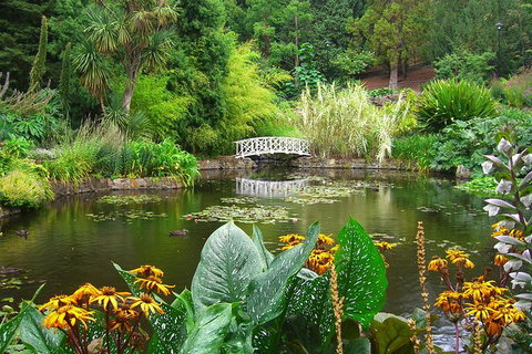 Hobart City Sightseeing Tour Including MONA Admission - Schoolies Week Accommodation 7