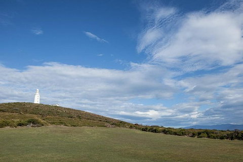 Bruny Island Premium Private Photo-oriented Day Tour From Hobart - Schoolies Week Accommodation 3