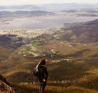 Mt Wellington Half Day Guided Summit Hike - Schoolies Week Accommodation