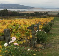 Mona and Wine Experience Tour - Schoolies Week Accommodation